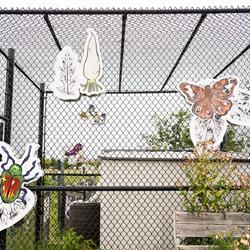 We All Grow Here, 2024